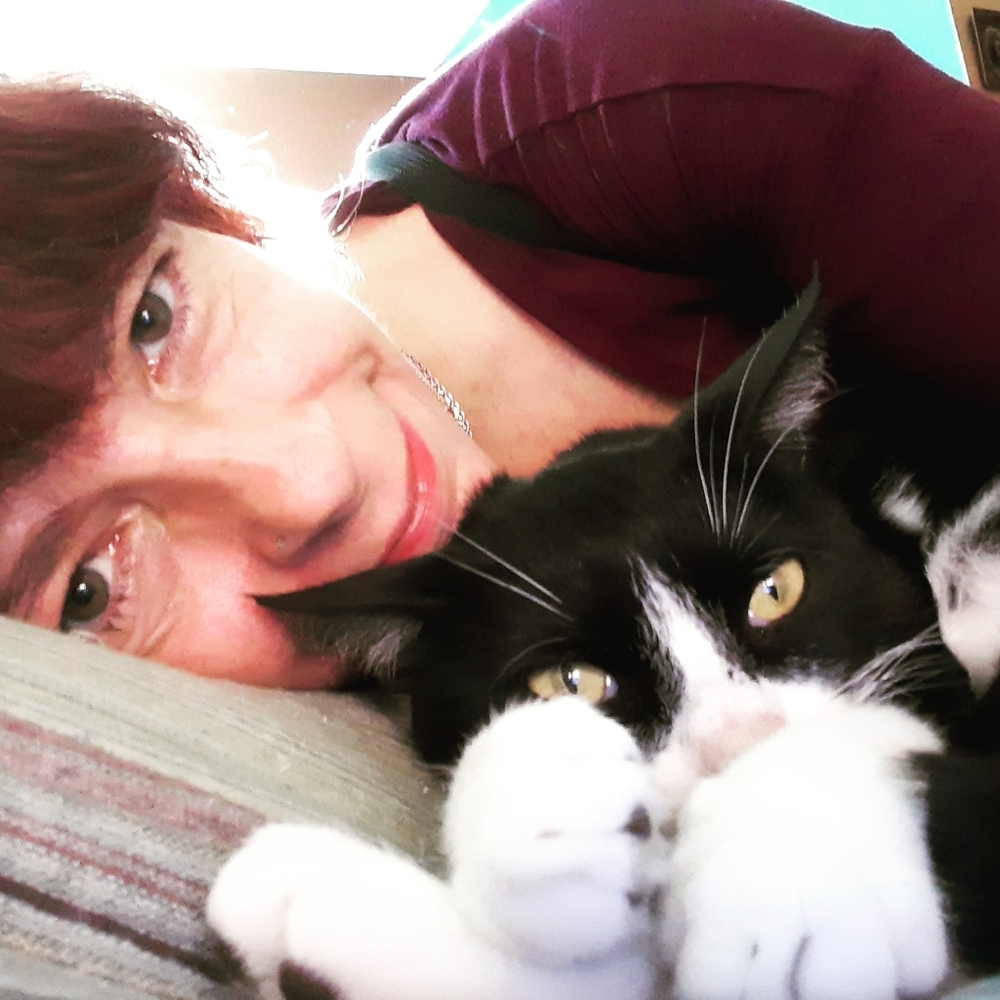 MeetYourPoshAmbassadors!🤩💚🐈🐈🐈🐈🐈🐈🐕